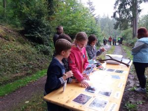 Erfolgreicher Waldtag der Realschule plus Rockenhausen