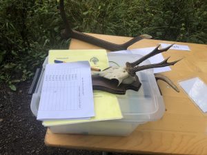 7. Waldtage an der Realschule plus Rockenhausen